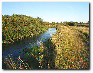 A peaceful lode at Isleham in the fens